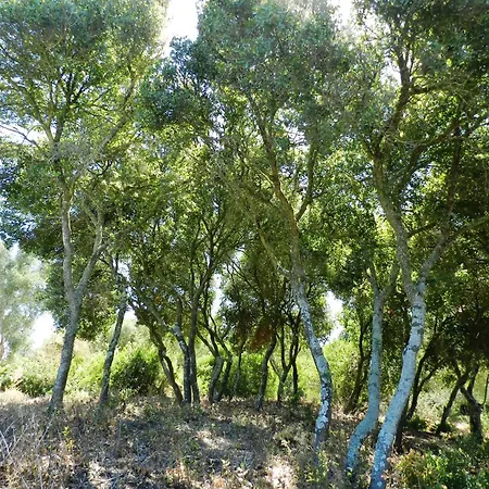 La Quinta De Maria Luisa Country house *
