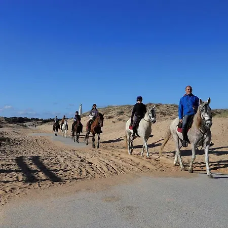 La Quinta De María Luisa *